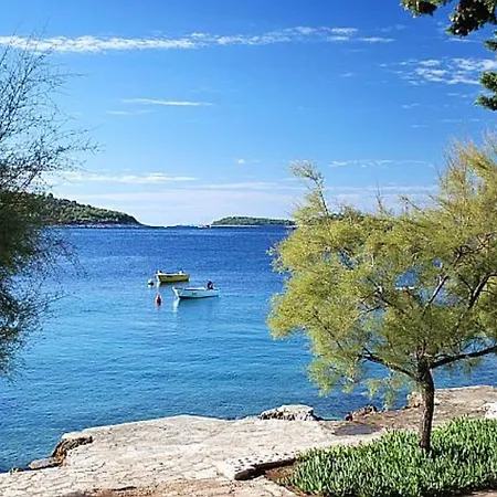 Srki - 50m From The Sea